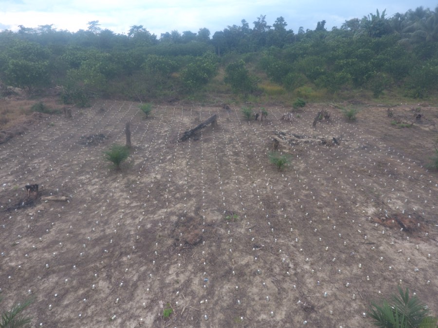 Lahan yang disiapkan untuk penanaman